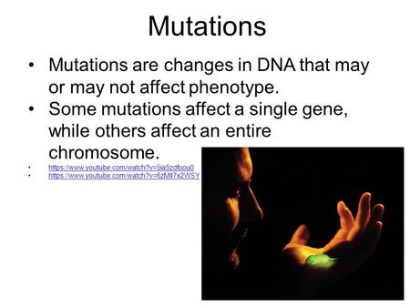 Mutations are changes in DNA that may or may not affect phenotype. Some mutations affect a single gene, while others affect an entire chromosome. https://www.youtube.com/watch?v=5ia5zdfoou0.