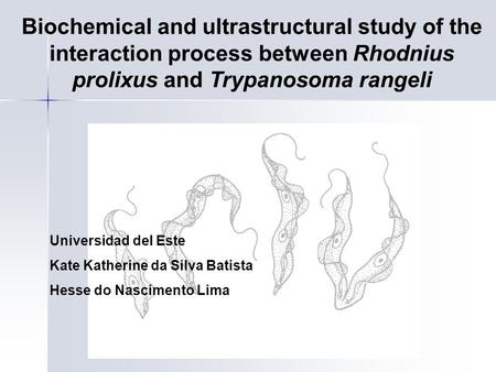 Biochemical and ultrastructural study of the interaction process between Rhodnius prolixus and Trypanosoma rangeli Universidad del Este Kate Katherine.