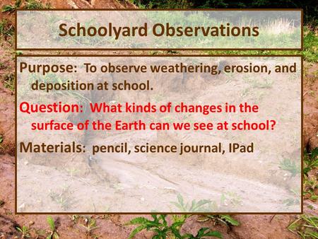 Schoolyard Observations