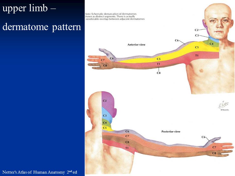 download field guide to stains how to identify and