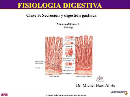 © 2003 Science Press Internet Services FISIOLOGIA DIGESTIVA Clase 5: Secreción y digestión gástrica Dr. Michel Baró Aliste.