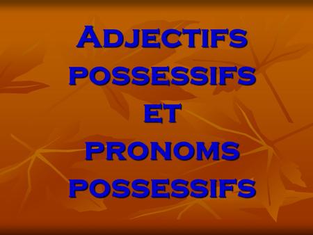Adjectifs possessifs et pronoms possessifs