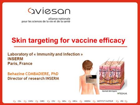 CEACHRUCNRSCPUINRAINRIAINSERMINSTITUT PASTEURIRD 1 CEACHRUCNRSCPUINRAINRIAINSERMINSTITUT PASTEURIRD Skin targeting for vaccine efficacy Laboratory of «
