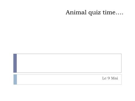 Animal quiz time…. Le 9 Mai.