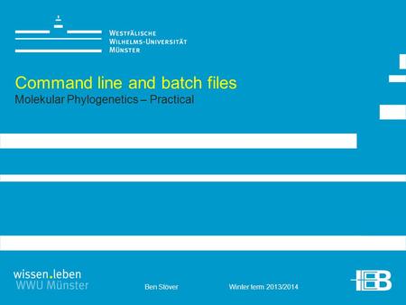 Ben Stöver Winter term 2013/2014 Command line and batch files Molekular Phylogenetics – Practical.