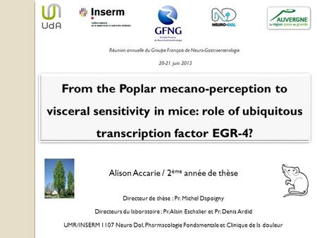 From the Poplar mecano-perception to visceral sensitivity in mice: role of ubiquitous transcription factor EGR-4? Alison Accarie / 2 ème année de thèse.
