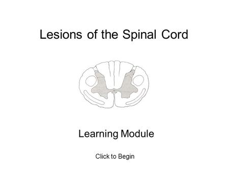 Lesions of the Spinal Cord