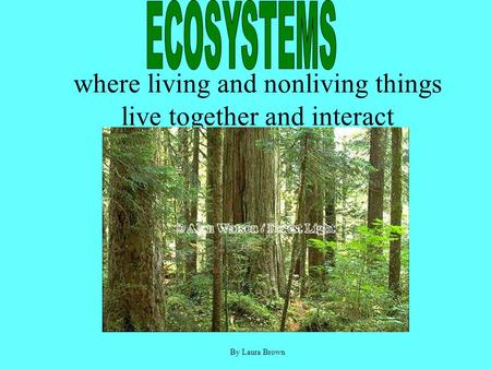 where living and nonliving things live together and interact By Laura Brown.