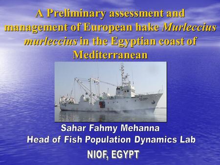 A Preliminary assessment and management of European hake Murleccius murleccius in the Egyptian coast of Mediterranean.