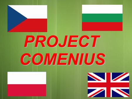 PROJECT PROJECTCOMENIUS. Basic Info about our project Basic Info about our project Our project started in the year 2011 and it finishes at the end of.