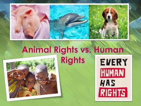 What are rights? Human life versus animal life. What are Human Rights? What are the most known human rights?