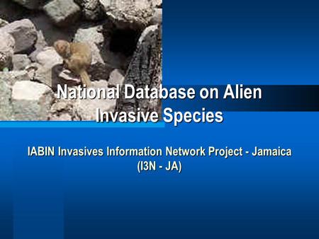 National Database on Alien Invasive Species IABIN Invasives Information Network Project - Jamaica (I3N - JA)