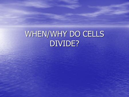 WHEN/WHY DO CELLS DIVIDE?. BIGGER IS NOT BETTER! IMPORTANCE OF CELL MEMBRANE IMPORTANCE OF CELL MEMBRANE –Controls what goes into/out of a cell –All cells.