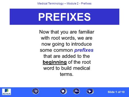 Menu Medical Terminology – Module 2 - Prefixes PREFIXES Now that you are familiar with root words, we are now going to introduce some common prefixes that.
