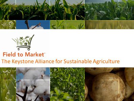 The Keystone Alliance for Sustainable Agriculture 1.