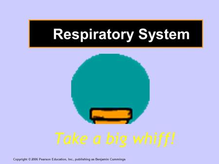 Copyright © 2006 Pearson Education, Inc., publishing as Benjamin Cummings Respiratory System Take a big whiff!
