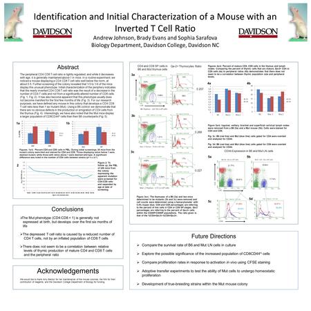 Identification and Initial Characterization of a Mouse with an Inverted T Cell Ratio Andrew Johnson, Brady Evans and Sophia Sarafova Biology Department,