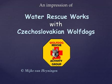 An impression of Water Rescue Works with Czechoslovakian Wolfdogs © Mijke van Heyningen.