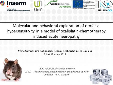 Molecular and behavioral exploration of orofacial hypersensitivity in a model of oxaliplatin-chemotherapy induced acute neuropathy Laura POUPON, 1 ère.