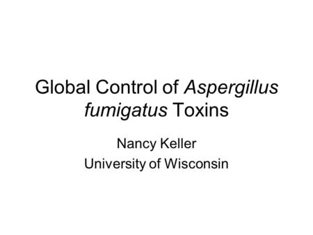 Global Control of Aspergillus fumigatus Toxins Nancy Keller University of Wisconsin.