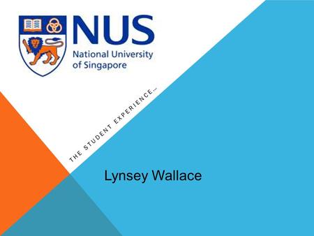 THE STUDENT EXPERIENCE… Lynsey Wallace. WHY GO ABROAD? Experience Experience Broadening horizons Broadening horizons Meet people Meet people New cultures.