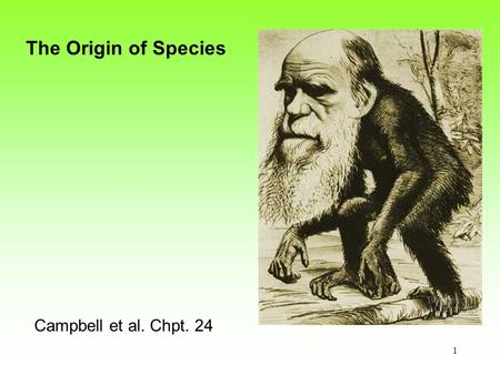 1 Campbell et al. Chpt. 24 The Origin of Species.