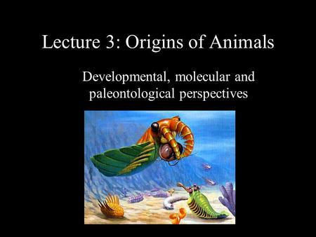 Lecture 3: Origins of Animals