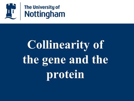 Collinearity of the gene and the protein