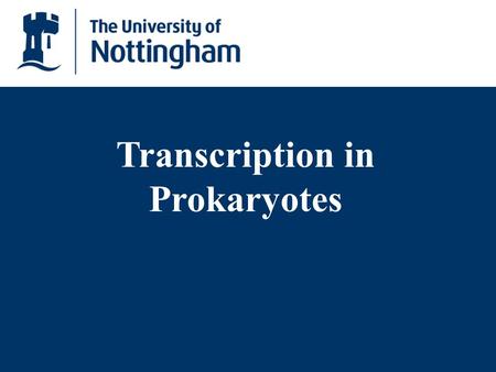 Transcription in Prokaryotes