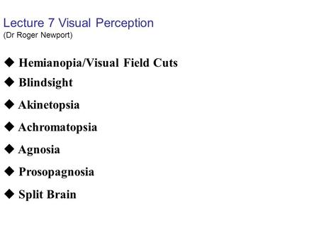 Lecture 7 Visual Perception