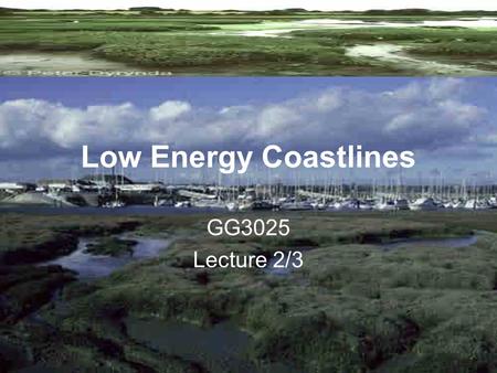 Low Energy Coastlines GG3025 Lecture 2/3.