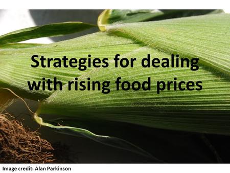 Strategies for dealing with rising food prices Image credit: Alan Parkinson.