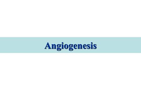 Angiogenesis.