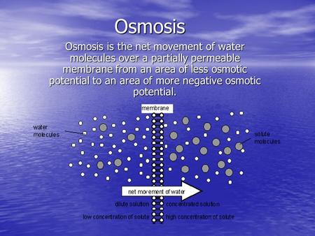 Osmosis Osmosis is the net movement of water molecules over a partially permeable membrane from an area of less osmotic potential to an area of more negative.
