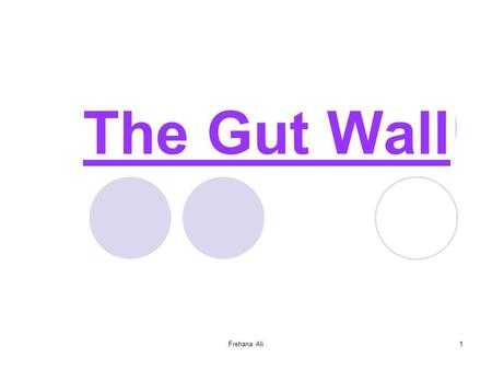 Frehana Ali1 The Gut Wall. 2 The Gut Wall The gut wall is divided into 3 main layers: An outer muscle layer, protected by a thin coating of fibres A middle.