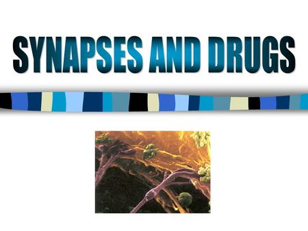 SYNAPSES AND DRUGS.