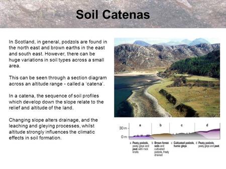 Soil Catenas In Scotland, in general, podzols are found in the north east and brown earths in the east and south east. However, there can be huge variations.