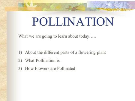 POLLINATION What we are going to learn about today…..