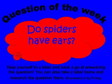Help yourself to a label and have a go at answering the question! You can also take a label home and research the question there. All answers in by Friday.