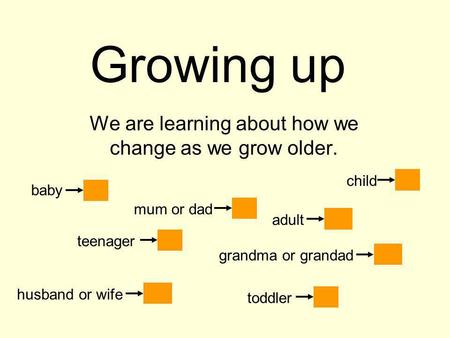 We are learning about how we change as we grow older.