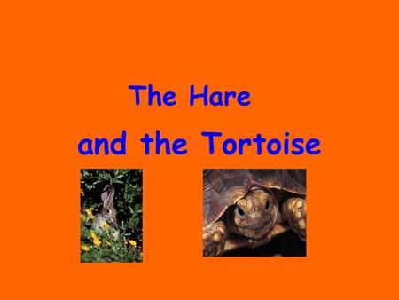 And the Tortoise The Hare. It was time once again for the Annual Woodland Race. All of the forest animals were very excited about competing in the race.