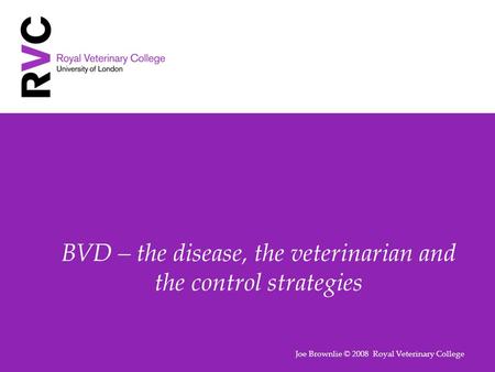 BVD – the disease, the veterinarian and the control strategies Joe Brownlie © 2008 Royal Veterinary College.
