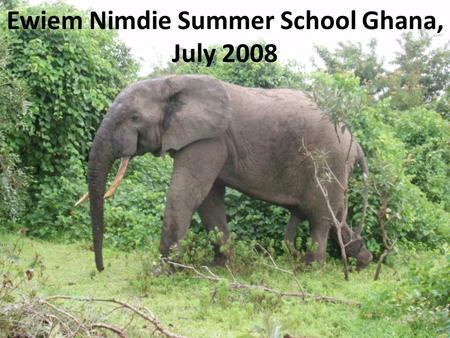Ewiem Nimdie Summer School Ghana, July 2008.