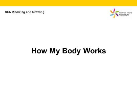 How My Body Works SEN Knowing and Growing. How my body works Everyone knows a car needs petrol to go. It also needs water and oil, and air in the tyres.