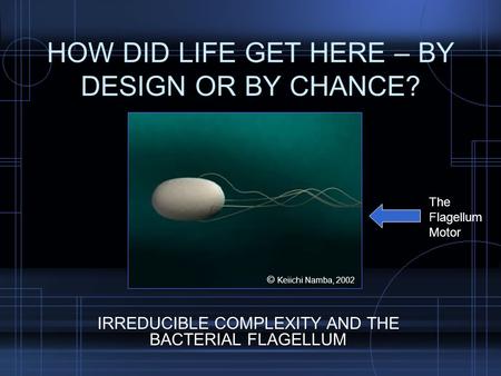 HOW DID LIFE GET HERE – BY DESIGN OR BY CHANCE? IRREDUCIBLE COMPLEXITY AND THE BACTERIAL FLAGELLUM The Flagellum Motor © Keiichi Namba, 2002.