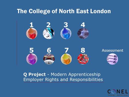 The College of North East London 1234 5678 Q Project - Modern Apprenticeship Employer Rights and Responsibilities Assessment.