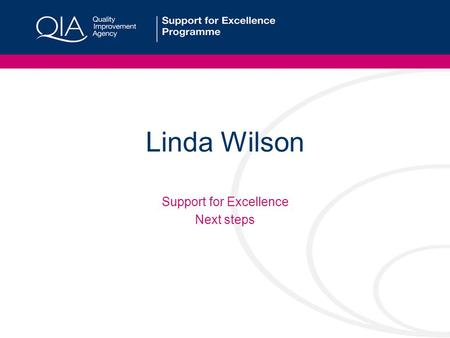 Linda Wilson Support for Excellence Next steps. Next Steps Support for 129 established groups Recruitment of up to 36 new groups Target under-represented.