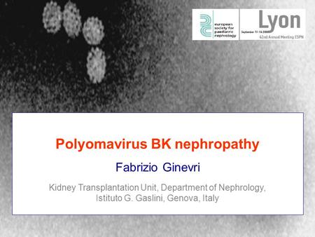Polyomavirus BK nephropathy