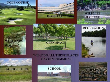 GOLF COURSE HOSPITAL AGRICULTURE WILDLIFE HABITAT WETLANDS OPEN SPACE SCHOOL RECREATION HOUSING DEVELOPMENT WHAT DO ALL THESE PLACES HAVE IN COMMON?