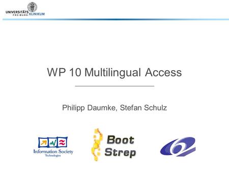 WP 10 Multilingual Access Philipp Daumke, Stefan Schulz.